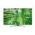 Telewizor 60" 4K/60UQ81003LB Lg