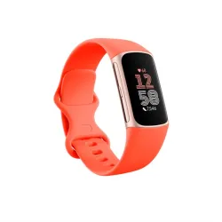 Fitbit Charge 6 OLED Wristband Activity Tracker coral/aluminium gold